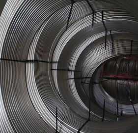 Un buon prezzo. Tubo della bobina dell'acciaio inossidabile di ASTM A269/A249 in linea