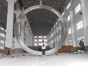 Un buon prezzo. Acciaio inossidabile Od 3000mm di pezzo fucinato 304 di iso Torich in linea